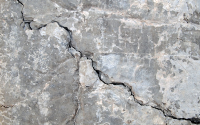 “Self-Healing” Concrete Uses Fungus to Fill Cracks